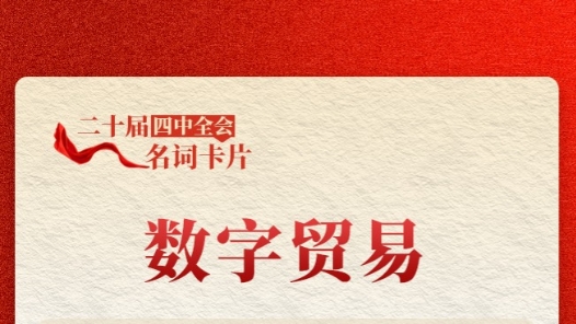 二十屆四中全會(huì)名詞卡片：數(shù)字貿(mào)易