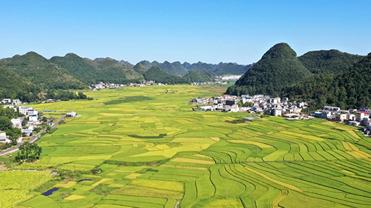 新思想引領新征程·非凡“十四五”｜扎實推進鄉村建設 繪就和美鄉村新畫卷