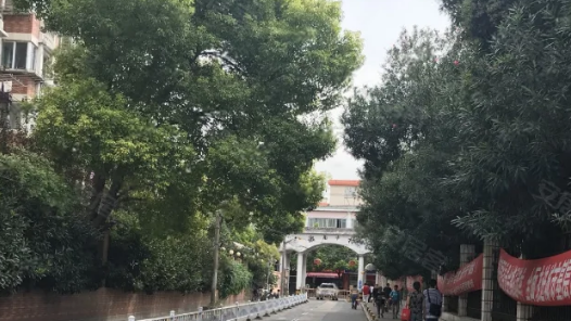 貫徹四中全會(huì)精神一線見聞｜社區(qū)治理來了“生力軍”