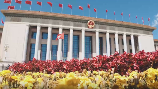 學(xué)習(xí)規(guī)劃建議每日問答｜為什么要著力打造新興支柱產(chǎn)業(yè)