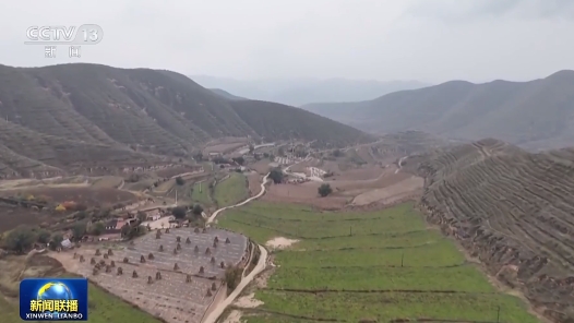 學(xué)習(xí)貫徹四中全會(huì)精神在基層｜廣西：端穩(wěn)國(guó)家“糖罐子” 甘肅：推動(dòng)現(xiàn)代農(nóng)業(yè)提質(zhì)增效