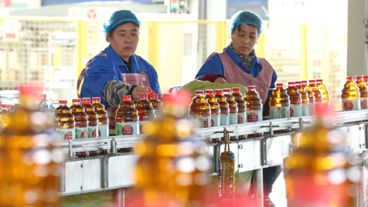 學(xué)習(xí)規(guī)劃建議每日問答丨為什么要全鏈條推動集成電路、工業(yè)母機(jī)、高端儀器、基礎(chǔ)軟件、先進(jìn)材料、生物制造等重點(diǎn)領(lǐng)域關(guān)鍵核心技術(shù)攻關(guān)取得決定性突破