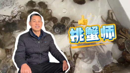 三工視頻·新360行之挑蟹師｜螃蟹“選美”裁判長