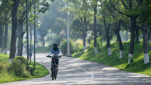 新華鮮報·“十四五”發展亮點｜中國“調色盤”增新綠！森林覆蓋率超25%