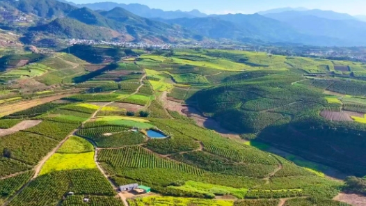 邁向“十五五”的發(fā)展圖景·大國小村丨一個村何以集聚58家法蘭鍛造企業(yè)