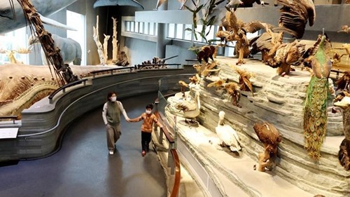 新春走基層｜喜迎“新客”