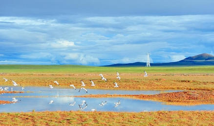 新春走基層·十村十年看長江之變丨青海長江源村：綠水青山不負“守護人”