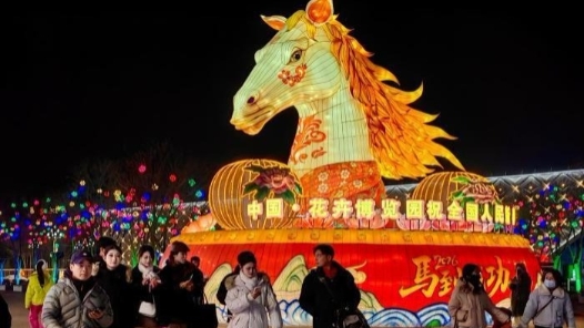 新春走基層｜立春賞燈年味濃 銀川花博園燈會引客流連