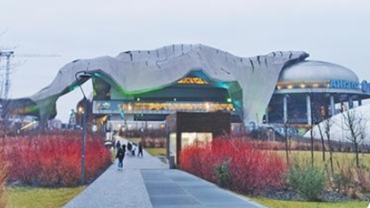 奧運縱橫丨感受新與變，續寫精彩冰雪故事