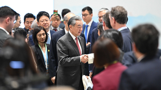 王毅出席2026年亞太經合組織第一次高官會開幕式