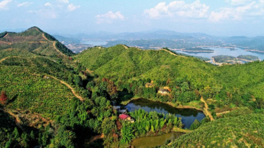 江西：“2026來贛州過客家年”活動啟動