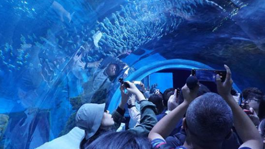 解鎖文旅科技新體驗