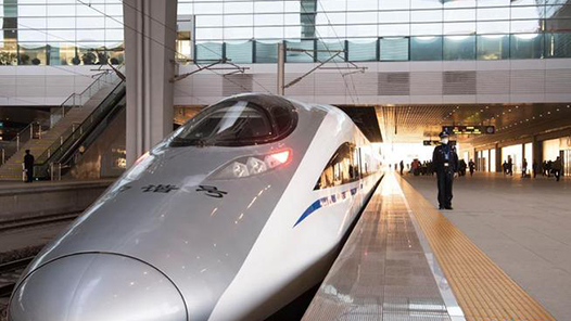 春運進行時｜坐著高鐵去觀鳥