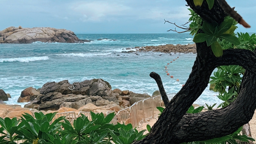 春節(jié)前后大約有3萬場次文旅活動在各地精彩亮相