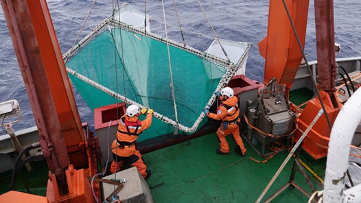 科學與健康丨南極“糧倉”！我國磷蝦研究促進產業升級