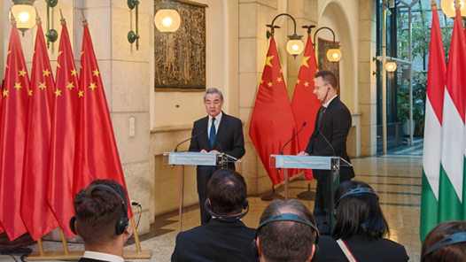 王毅：做到“五個共同”，深化中匈友誼，拓展互利合作