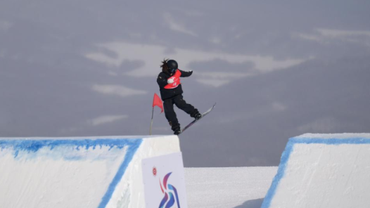 “努力和付出沒有白費”