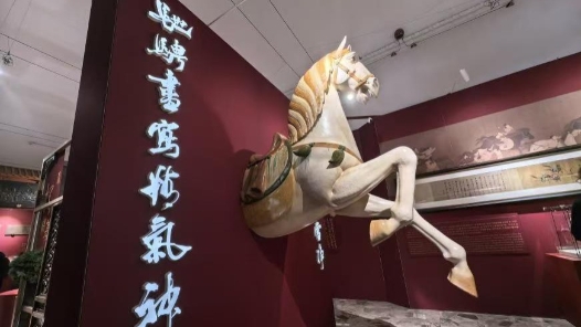 中華體育文化走進意大利 激發(fā)華人華僑愛國熱情