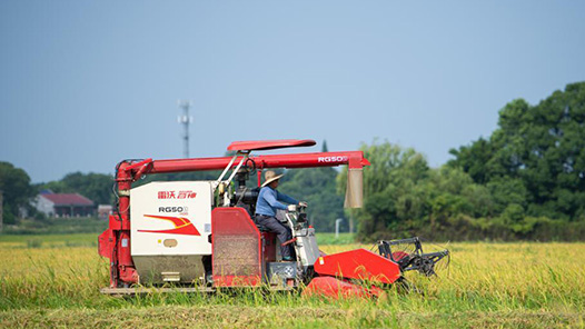 新春走基層｜產業興旺生態美 日子富足幸福長