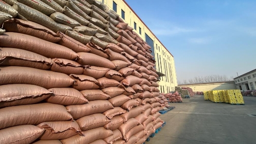 新春走基層｜產量占全國近三分之一，這座“炒貨小鎮”春節前更飄香