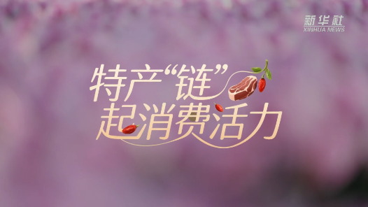 節(jié)前探店｜特產(chǎn)“鏈”動消費活力