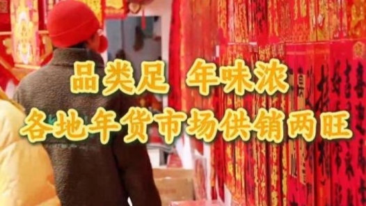 品類足 年味濃 各地年貨市場供銷兩旺