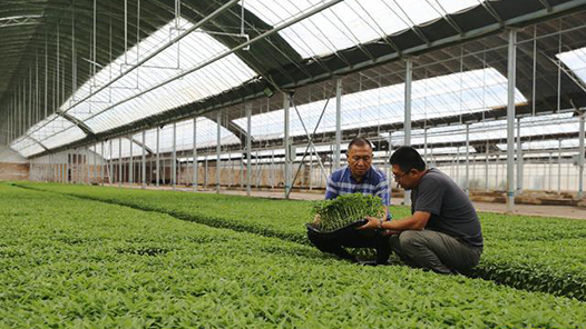 貴州畢節2025年農食產品出口貨值破億