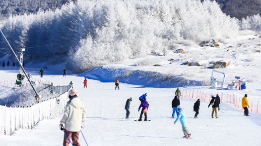 遼寧文旅誠迎廣大游客“回遼過年，來遼過年”