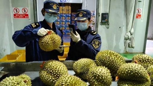 新春走基層丨15秒通關瓜果香