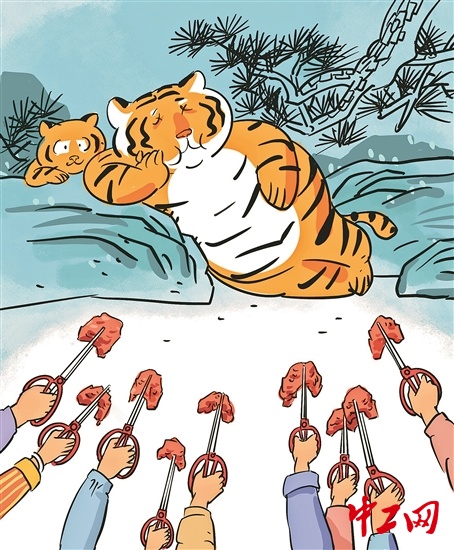 3346251_tpzz_1772003110458_b_副本